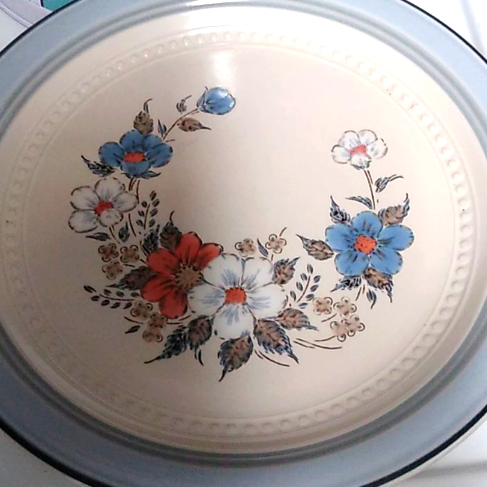 1 dinner plate